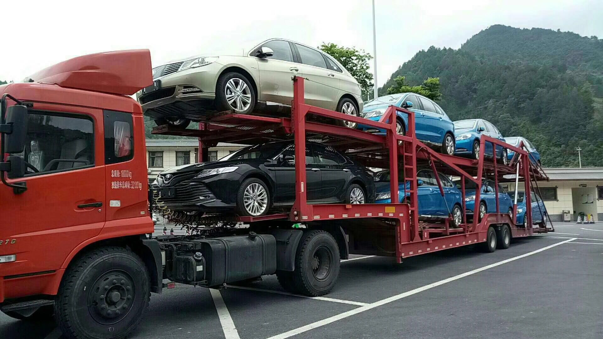 汽車托運助力一年一度候鳥季(圖1)